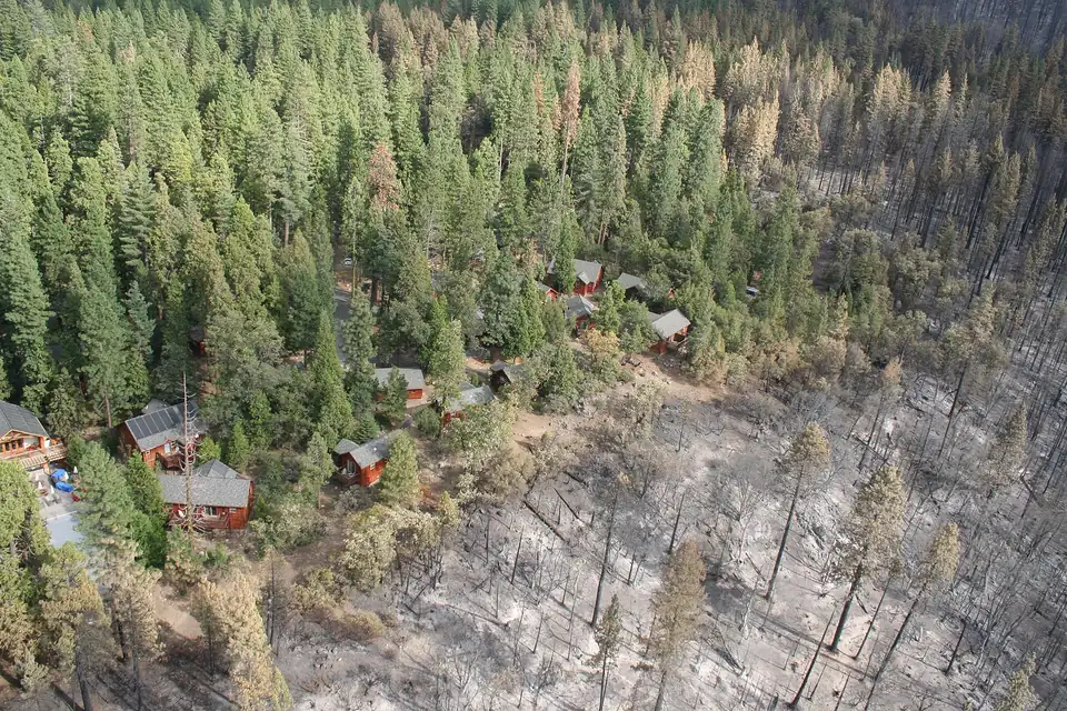 Aerial view of thinned forest around homes: fuel treatment creating defensible space