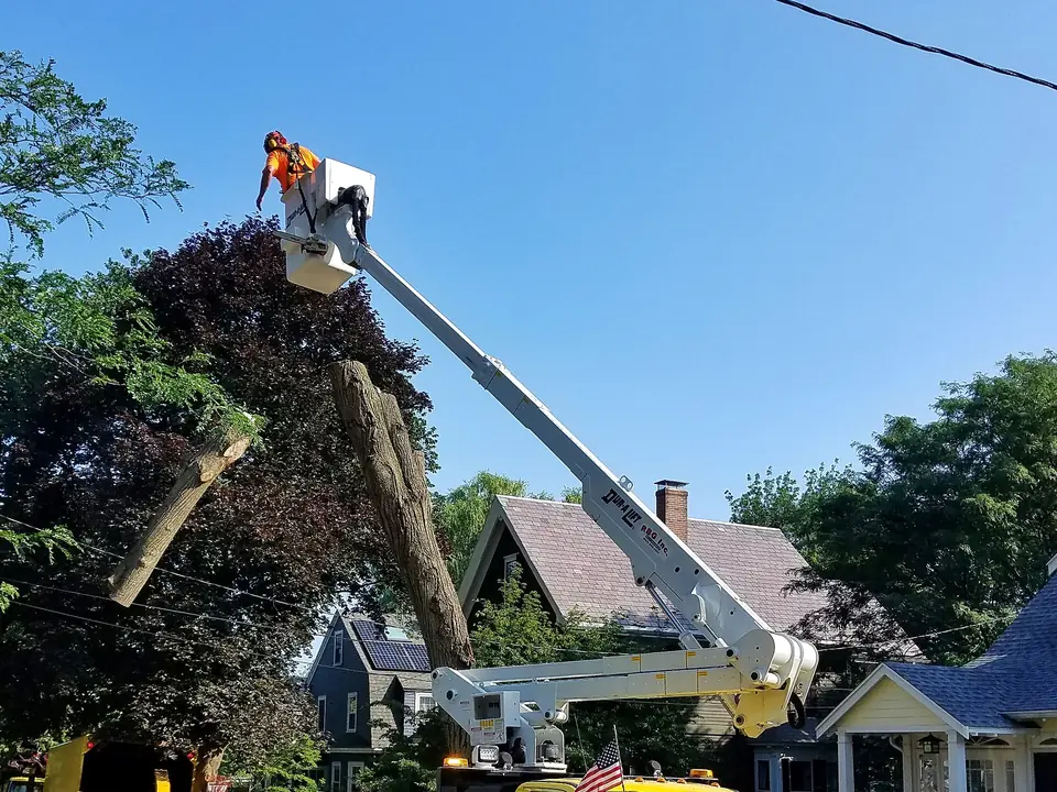 Tree crew working from a bucket truck in front of a house